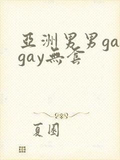 亚洲男男gaygay无套封面