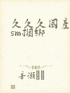 久久久国产调教sm捆绑