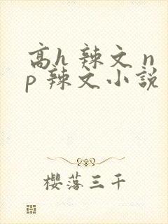 高h 辣文 np 辣文小说