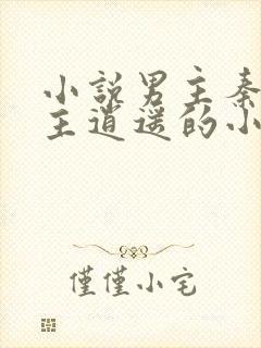 小说男主秦默女主逍遥的小说