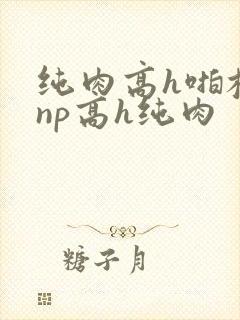 纯肉高h啪校园np高h纯肉封面