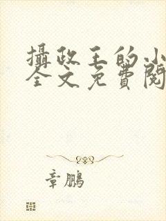 摄政王的小王妃全文免费阅读