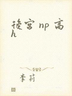 后宫 np 高h封面