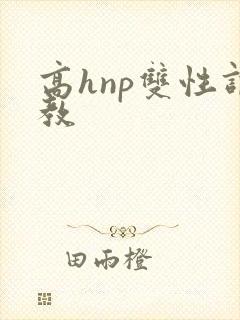 高hnp双性调教