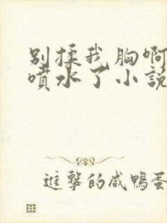 别揉我胸啊嗯～喷水了小说