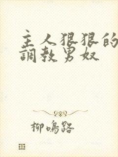 主人狠狠的惩罚调教男奴