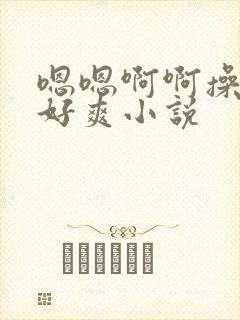 嗯嗯啊啊操的我好爽小说