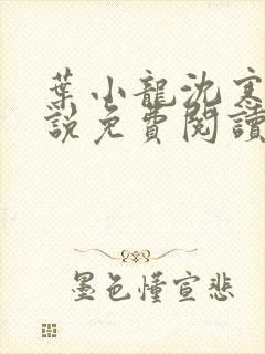 叶小龙沈寒溪小说免费阅读全文无弹窗