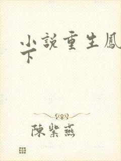 小说重生凤临天下