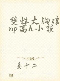 双性大胸浪荡受np高h小说