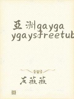 亚洲gaygaygaysfreetube1