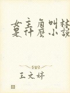 女主角叫林柔的是什么小说封面