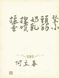 揉捏奶头揪扯阴蒂喷乳的小说封面