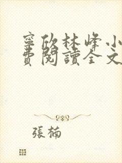 宁欣林峰小说免费阅读全文无弹窗