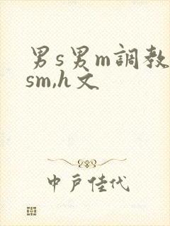 男s男m调教(sm,h文