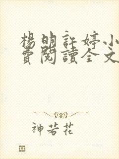 杨明许婷小说免费阅读全文最新章节