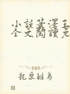 小说萧泽王雪凤全文阅读免费