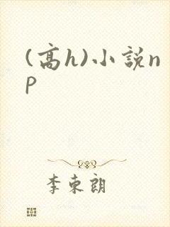 (高h)小说np