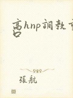 高hnp调教重口