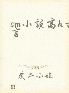 sm小说高h古言
