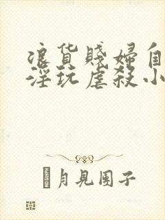 浪货贱妇自愿被淫玩虐杀小说封面