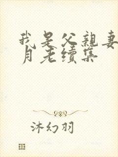 我是父亲妻子的月老续集