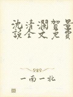 沈清澜贺景承小说全文免费阅读