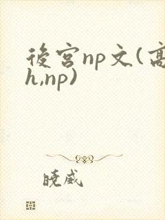 后宫np文(高h,np)
