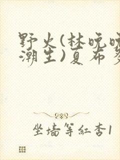 野火(林晚晚林潮生)夏布多昂
