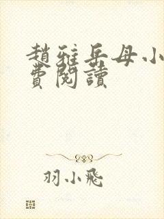 赵雅岳母小说免费阅读封面