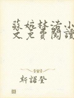 苏婉林浩小说全文免费阅读最新