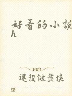 好看的小说言情h