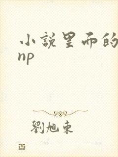 小说里面的高hnp