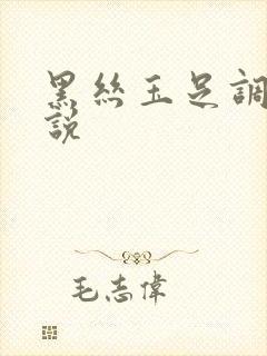 黑丝玉足调教小说封面