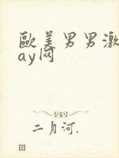 欧美男男激情gay网封面