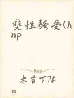 双性骚受(h)np