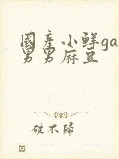 国产小鲜gay男男麻豆