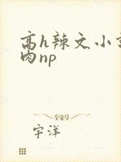 高h辣文小说纯肉np