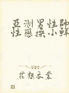 亚洲男性帅哥同性恋操小鲜肉逼