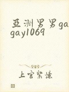 亚洲男男gaygay1069