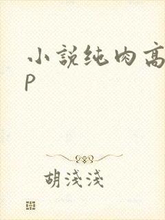 小说纯肉高hnp封面