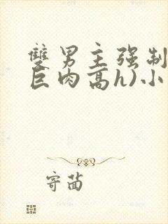 双男主强制爱(巨肉高h)小说