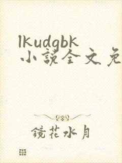 lkudgbk小说全文免费阅读笔趣阁无弹窗封面