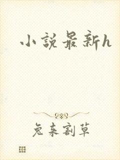 小说最新h