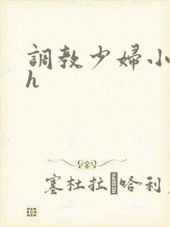 调教少妇小说高h