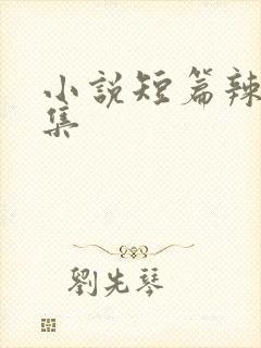 小说短篇辣文合集