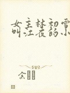 女主林初雪男主叫江夜的小说封面