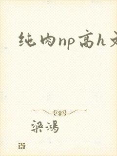 纯肉np高h文