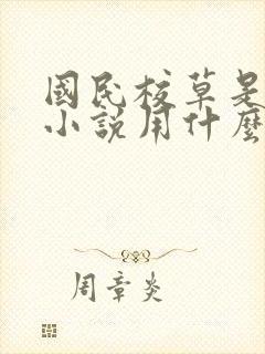 国民校草是女生小说用什么app可以免费