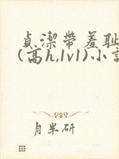 贞洁带羞耻调教(高h,1v1)小说